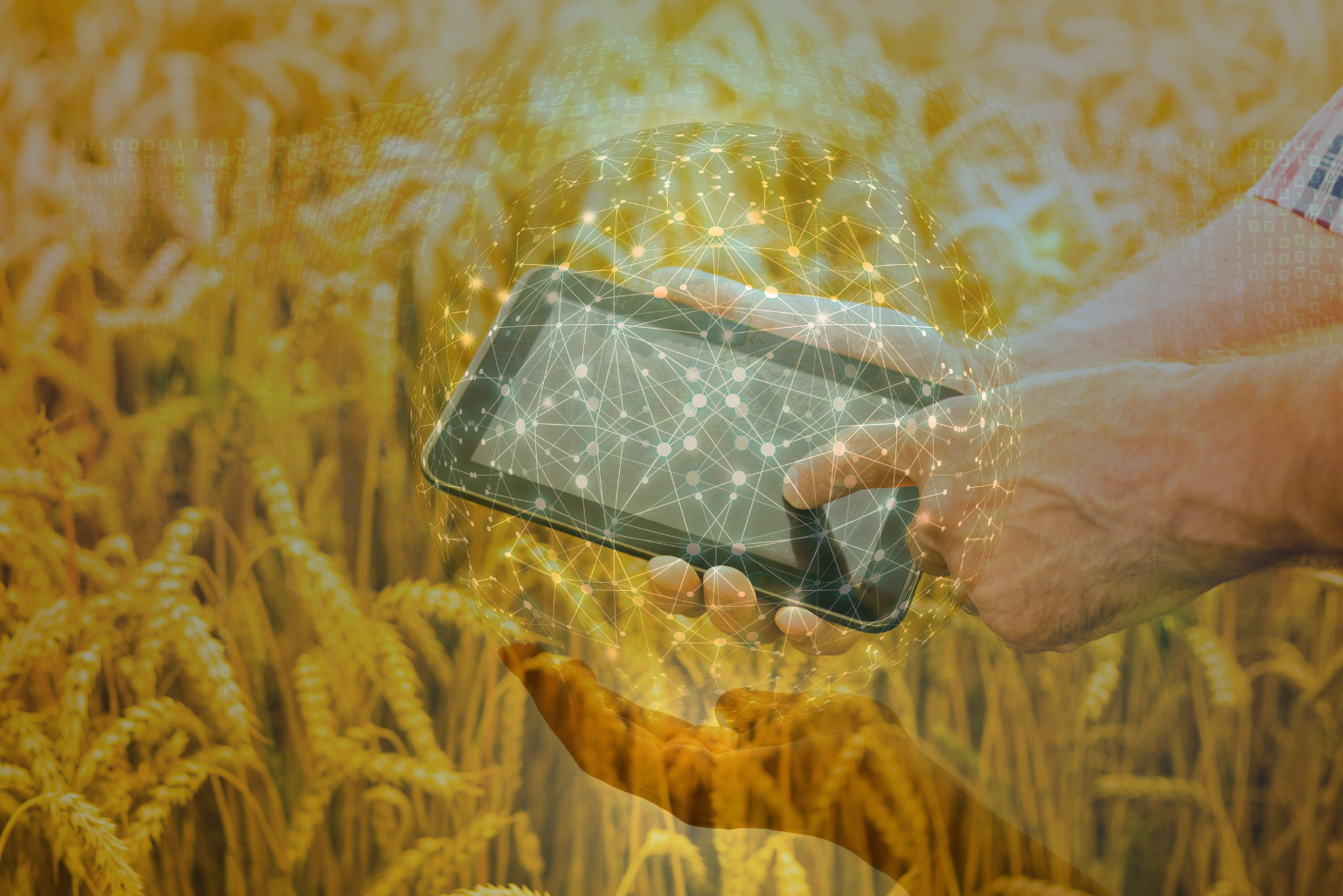 GrainCoat powered by Solentra